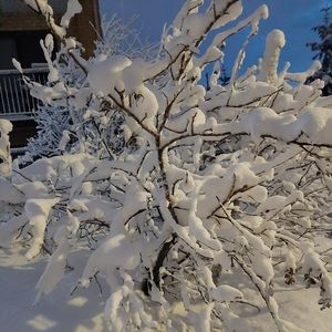 Meet your Posher, Nathalie